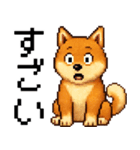 柴犬のドットスタンプ☆日常（個別スタンプ：4）