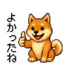 柴犬のドットスタンプ☆日常（個別スタンプ：6）