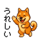 柴犬のドットスタンプ☆日常（個別スタンプ：7）