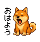 柴犬のドットスタンプ☆日常（個別スタンプ：9）