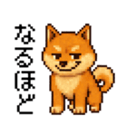 柴犬のドットスタンプ☆日常（個別スタンプ：10）