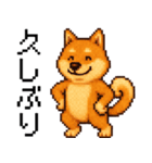 柴犬のドットスタンプ☆日常（個別スタンプ：11）
