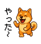 柴犬のドットスタンプ☆日常（個別スタンプ：12）