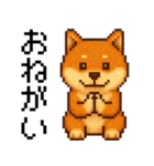 柴犬のドットスタンプ☆日常（個別スタンプ：13）