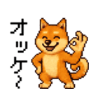 柴犬のドットスタンプ☆日常（個別スタンプ：14）