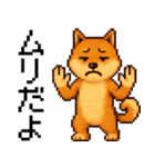柴犬のドットスタンプ☆日常（個別スタンプ：15）