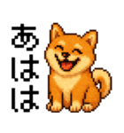 柴犬のドットスタンプ☆日常（個別スタンプ：16）