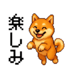 柴犬のドットスタンプ☆日常（個別スタンプ：17）