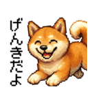 柴犬のドットスタンプ☆日常（個別スタンプ：20）