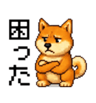 柴犬のドットスタンプ☆日常（個別スタンプ：21）