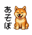 柴犬のドットスタンプ☆日常（個別スタンプ：22）