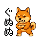 柴犬のドットスタンプ☆日常（個別スタンプ：23）