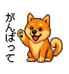 柴犬のドットスタンプ☆日常（個別スタンプ：25）