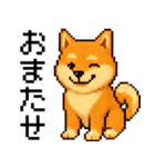 柴犬のドットスタンプ☆日常（個別スタンプ：26）