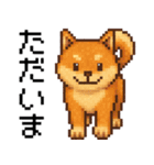 柴犬のドットスタンプ☆日常（個別スタンプ：27）