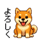 柴犬のドットスタンプ☆日常（個別スタンプ：29）