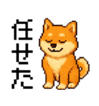 柴犬のドットスタンプ☆日常（個別スタンプ：30）