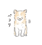 雑種犬春のイラストスタンプ大きめ（個別スタンプ：2）