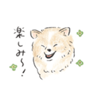 雑種犬春のイラストスタンプ大きめ（個別スタンプ：5）