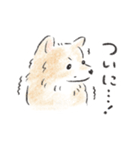 雑種犬春のイラストスタンプ大きめ（個別スタンプ：10）
