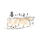 雑種犬春のイラストスタンプ大きめ（個別スタンプ：13）