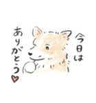 雑種犬春のイラストスタンプ大きめ（個別スタンプ：14）