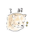 雑種犬春のイラストスタンプ大きめ（個別スタンプ：16）