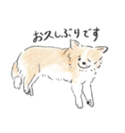 雑種犬春のイラストスタンプ大きめ（個別スタンプ：17）