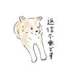 雑種犬春のイラストスタンプ大きめ（個別スタンプ：18）