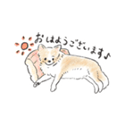 雑種犬春のイラストスタンプ大きめ（個別スタンプ：19）