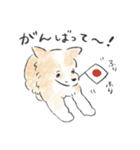 雑種犬春のイラストスタンプ大きめ（個別スタンプ：20）