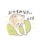 雑種犬春のイラストスタンプ大きめ（個別スタンプ：21）
