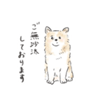 雑種犬春のイラストスタンプ大きめ（個別スタンプ：28）