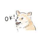 雑種犬春のイラストスタンプ大きめ（個別スタンプ：31）