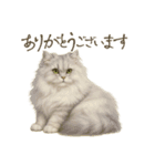 リアルなペルシャ猫（個別スタンプ：5）