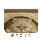 リアルなペルシャ猫（個別スタンプ：10）