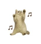 リアルなペルシャ猫（個別スタンプ：15）
