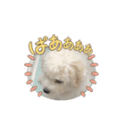 ミルとココのスタンプ（個別スタンプ：1）