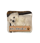 ミルとココのスタンプ（個別スタンプ：3）