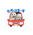 ミルとココのスタンプ（個別スタンプ：8）