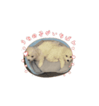 ミルとココのスタンプ（個別スタンプ：9）