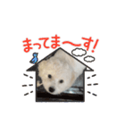 ミルとココのスタンプ（個別スタンプ：15）