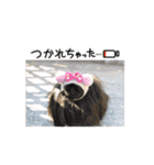 pekiペキpeki（個別スタンプ：2）