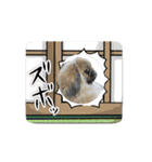 pekiペキpeki（個別スタンプ：5）