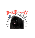 pekiペキpeki（個別スタンプ：9）