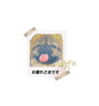 pekiペキpeki（個別スタンプ：13）