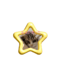 スコティッシュフォールド猫にゃんスタンプ（個別スタンプ：13）