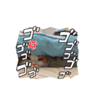 エメとランプ 第二弾（個別スタンプ：3）