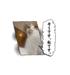 エメとランプ 第二弾（個別スタンプ：5）
