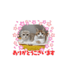 エメとランプ 第二弾（個別スタンプ：12）